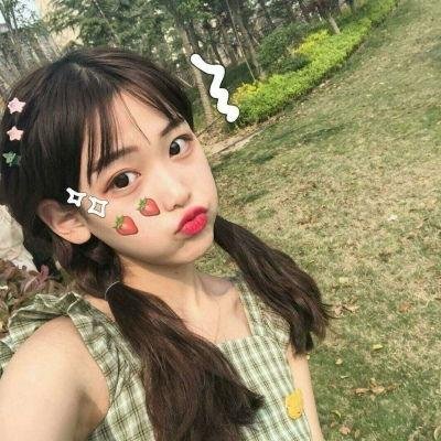 双琴记