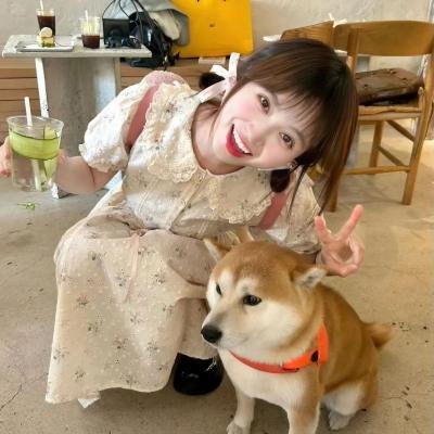 柳川堀割物语